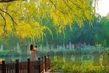大象传媒美女-优雅与力量的交响，大象传媒中的女性之美